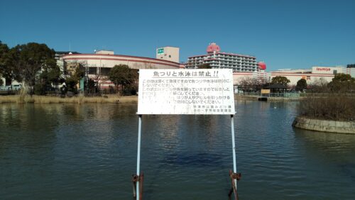 市場池公園と市場池オアシス広場