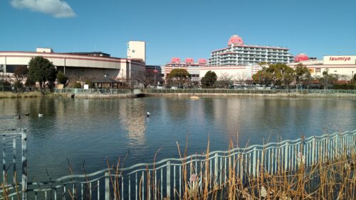 市場池公園と市場池オアシス広場