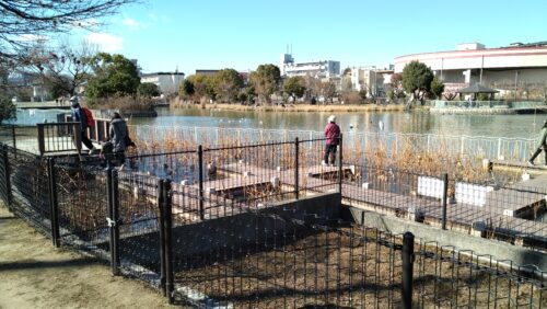 市場池公園と市場池オアシス広場