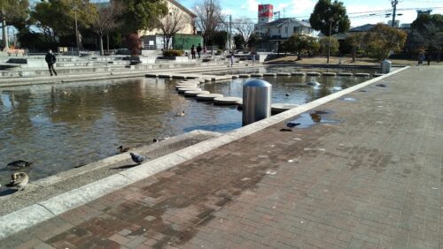 市場池公園と市場池オアシス広場