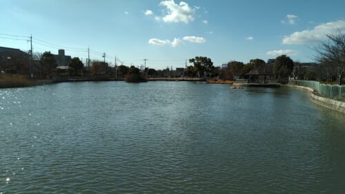 市場池公園と市場池オアシス広場