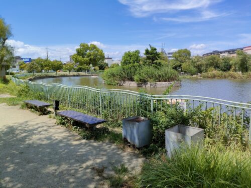 市場池公園と市場池オアシス広場