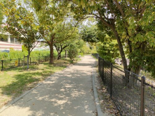 市場池公園と市場池オアシス広場