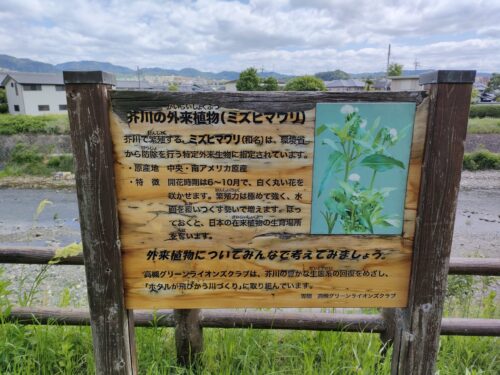 芥川緑地