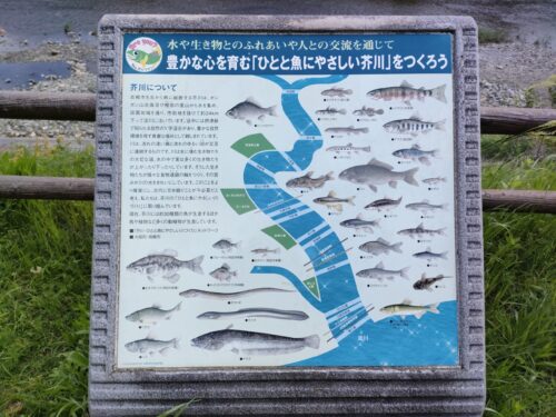 芥川緑地