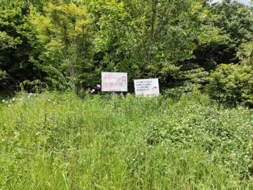 芥川緑地